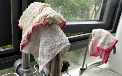 Nói thật: 5 vật dụng nhà bếp nhà nào cũng có là "ổ vi khuẩn" nên vứt ngay