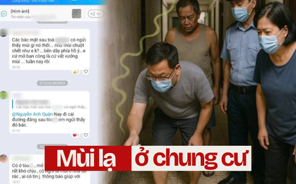 Cả chung cư phát hoảng vì thứ mùi kinh khủng, khi tìm ra nguyên nhân ai cũng phải lắc đầu ngao ngán!