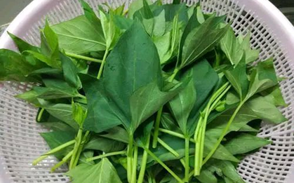 5 loại rau "không bao giờ bị phun thuốc trừ sâu" đang vào mùa, bổ dưỡng như nhân sâm, nhất là cái số 3