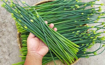8 loại rau yên tâm mua ở chợ, không lo thuốc trừ sâu