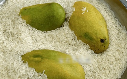 5 "bí mật" của gạo khiến 90% người kinh ngạc: Không ngờ thứ ăn hàng ngày lại "đỉnh chóp" như thế!