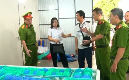 Khánh Hòa tiêu hủy 850.000 con tôm hùm giống nhập lậu, trị giá 34 tỷ đồng