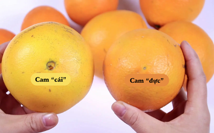 Mua cam nhớ đúng 5 mẹo: Đảm bảo chọn đâu trúng đó, quả nào quả nấy ngọt như rót mật!