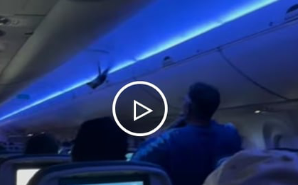 Video chim bồ câu lọt vào cabin gây hỗn loạn, máy bay Mỹ dừng cất cánh