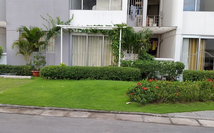 Vỡ mộng mua nhà có sân ở tầng trệt chung cư: người trong cuộc than trời, hàng ngày đều sống trong khổ sở