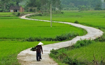 Tiếng Việt gọi tên nỗi lòng bằng một từ mà tiếng Anh chẳng thể đuổi kịp: Da diết như lời ru, sâu lắng hơn ký ức