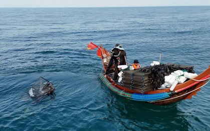 Độc đáo nghề bẫy mực lá của ngư dân bãi ngang
