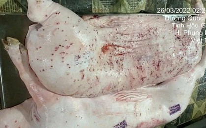 Sóc Trăng đề nghị Hậu Giang phối hợp xác minh vụ tố C.P. 'tuồn thịt bẩn' ra thị trường