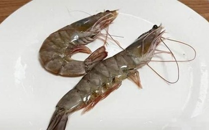 Đi chợ thấy tôm thẳng - tôm cong: Cao thủ ẩm thực chỉ chọn đúng một loại tinh hoa!