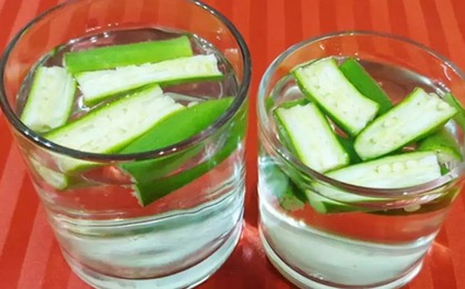Loại nước xanh nhơn nhớt kỳ lạ nhưng người uống được ruột khỏe, giảm cân, kháng viêm, hạ đường huyết cực “nhạy”