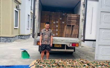 Thu giữ 5,3 tấn chân gà rút xương không rõ nguồn gốc tại Tuyên Quang
