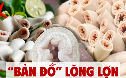 Lòng lợn “bách khoa toàn thư”: Mỗi miếng một tên gọi, ăn sai là mất hết tinh túy!