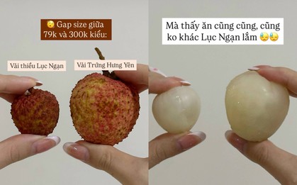 Vải trứng Hưng Yên: "To thì có to, nhưng thua vải thiều?"