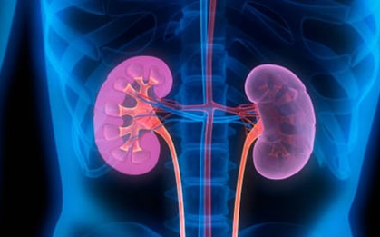 Những thói quen giúp thận luôn khoẻ mạnh