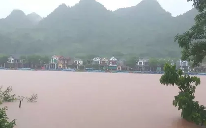 Mưa lũ tại miền Trung diễn biến phức tạp: Cá nuôi chết hàng loạt, lúa và hoa màu bị ngập