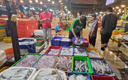 Bộ Tài chính: Có hộ kinh doanh hải sản tươi sống đạt doanh thu gần 560 tỉ đồng