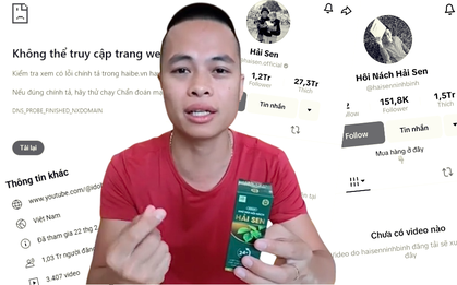 Toàn cảnh "hệ sinh thái” Hải Sen - cỗ máy in tiền trước khi sụp đổ