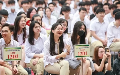 Học ngành Kế toán có lo bị AI thay thế trong tương lai?