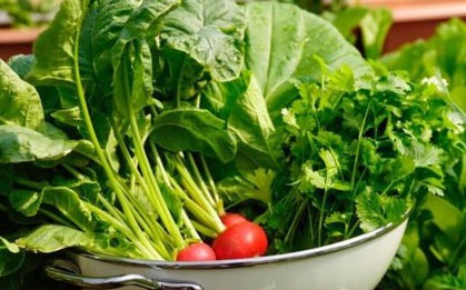 Chuyên gia vạch rõ ảo tưởng nhận biết rau có thuốc trừ sâu bằng mắt thường