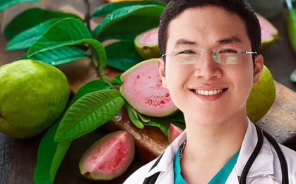 Uống nước lá ổi là khỏi bệnh đái tháo đường: BS giải thích cơ chế, nói rõ tác dụng đến đâu