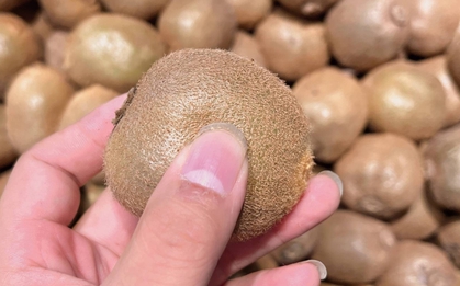 Loại quả bé xíu mệnh danh là "siêu trái cây", giàu vitamin C hơn cam, ra chợ là thấy