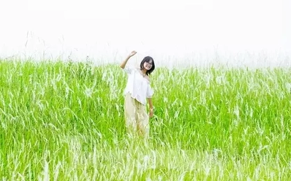 Người Hà Nội nô nức check-in với rừng lau trắng muốt rợp triền đê