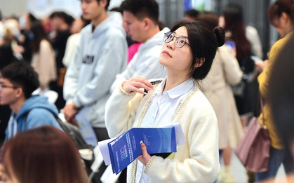 Gửi 2.000 CV mới tìm được việc