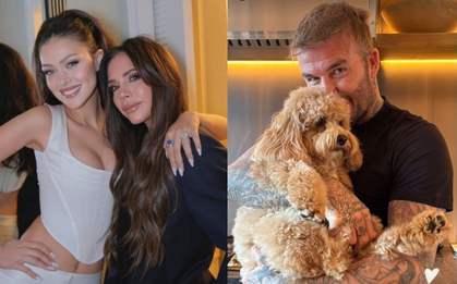 Beckham có nước đi không ngờ giữa drama "sóng gió gia tộc", tín hiệu "đầu hàng" con dâu?