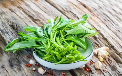 Loại rau giải nhiệt mùa hè là "thuốc làm sạch đường ruột", giúp hạ đường huyết, tốt đủ đường: Chợ Việt bán vừa nhiều vừa rẻ