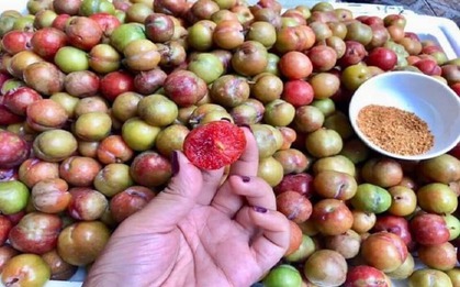 2 loại trái cây trùng tên nhưng số phận khác nhau, giá cả chênh lệch thấy rõ: Nhiều người đi chợ vẫn nhầm!