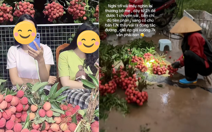 "Khối nghỉ hè" dùng TikTok rao bán vải hộ bố mẹ, 2h sáng được huy động ra vườn soi đèn thu hoạch
