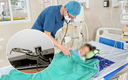 Vụ rắn cạp nia chui ra từ điều hòa cắn bé 7 tuổi lúc hơn 3h sáng: Người mẹ hoảng sợ kể lại toàn bộ sự việc