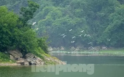 Cảnh hoang sơ, thơ mộng hồ Tuy Lai ngay ngoại thành Hà Nội