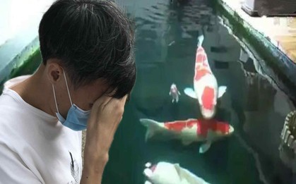 Chi tiền khủng cải tạo tầng hầm chung cư thành ao cá Koi, người đàn ông bị hàng xóm kiện ra tòa: “Anh không được làm thế”