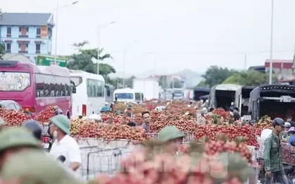 Đi chợ vải thiều Bắc Giang