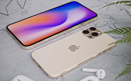 Apple sẽ bỏ luôn camera trước, chiếc iPhone có màn hình đẹp nhất lịch sử lộ diện