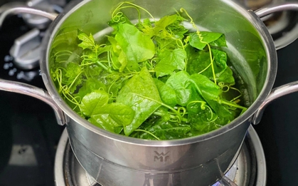 Loại rau mọc bờ rào nay "lên đời" thành đặc sản, vừa ngon bổ vừa dễ trồng tại nhà