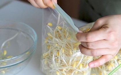 3 kiểu bảo quản giá đỗ tiện thì có tiện nhưng cực nhanh hỏng, mất dinh dưỡng còn “rước” bệnh vào nhà