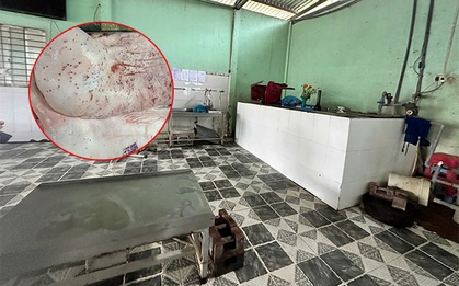 Lý do nhân viên thú y đóng dấu kiểm dịch sai trên heo bệnh của Công ty C.P., hé lộ về ao cá tiêu hủy heo