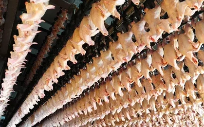 Tiếp tục kiểm tra nhà máy giết mổ của Công ty C.P Việt Nam tại Hà Nội