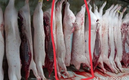 Vụ tố cửa hàng C.P. Việt Nam: Ông L.Q.N lại tung thêm bằng chứng?