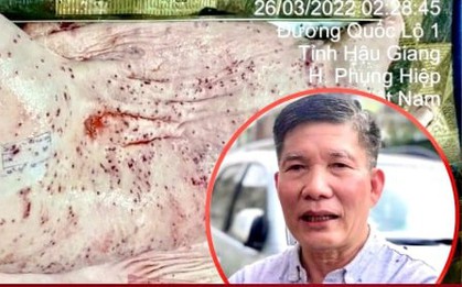 Chuyên gia: Phát hiện heo bệnh phải tiêu hủy cả đàn chứ không phải 1 con
