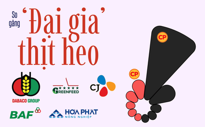 350.000 con heo nái đưa C.P. Việt Nam thống trị ngành heo, ‘đại gia’ Việt phất cờ chiếm lại thị trường?