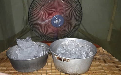 Đặt chậu nước, chậu đá trước quạt có làm mát nhà hơn không? Câu trả lời của chuyên gia gây bất ngờ