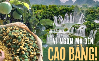 Thức quà mùa hè từ núi rừng chỉ có thể thưởng thức khi đến Cao Bằng