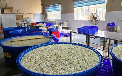 Phát hiện gần 7 tấn chân gà ngâm chất tẩy trắng