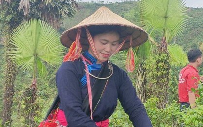 Người phụ nữ Tày 6 năm giữ ruộng làm du lịch bỗng nổi tiếng nhờ show thực tế liên tục lọt top trending, nhận bằng khen của tỉnh Lào Cai