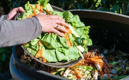 Chôn 2 thứ "rác" này vào chậu cây: Hoa tuôn nở như suối, ra quả tưng bừng ngọt lịm