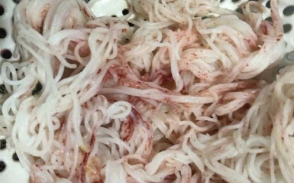 Bún chuyển sang màu đỏ sau vài giờ mua ở chợ Đà Nẵng: Bún chứa nấm men, nấm mốc