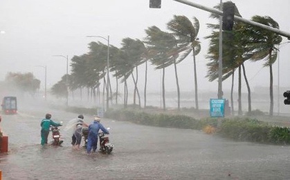 Bão Wipha có thể mạnh cấp 11-12 trên Biển Đông, khả năng cao sẽ ảnh hưởng trực tiếp đến đất liền nước ta